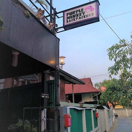 Purple Monkey Backpackers Chiang Mai Vandrehjem Eksteriør billede